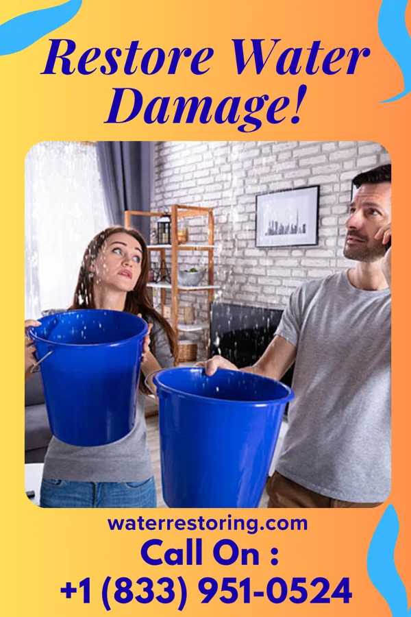 water restoration Patriot Emergency Restoration Professionals South Deerfield